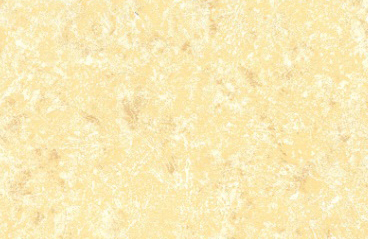 E617